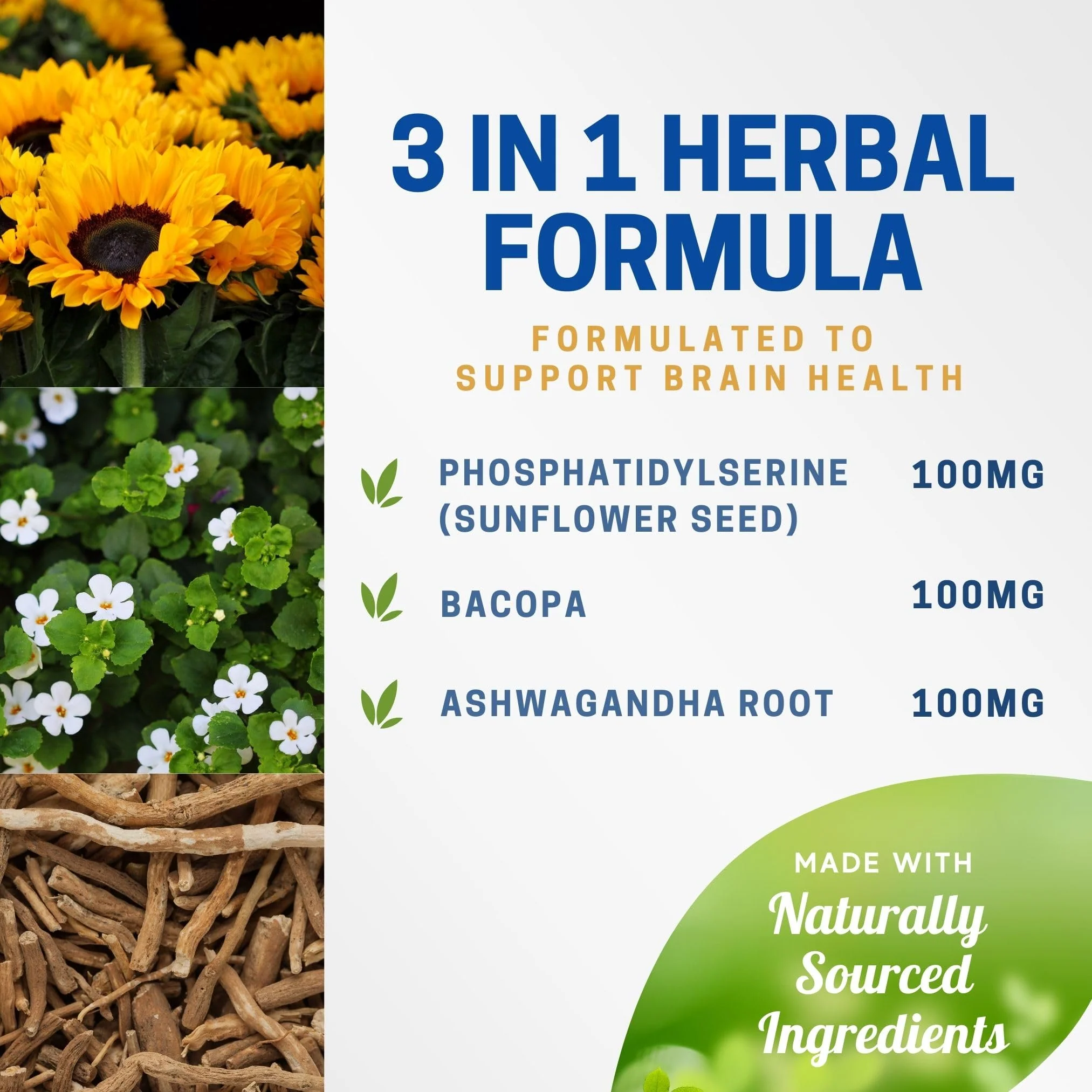 Brain PS - 90 Capsules | Brain Supplement with Phosphatidylserine, Bacopa Monnieri, and Ashwagandha - Image 5