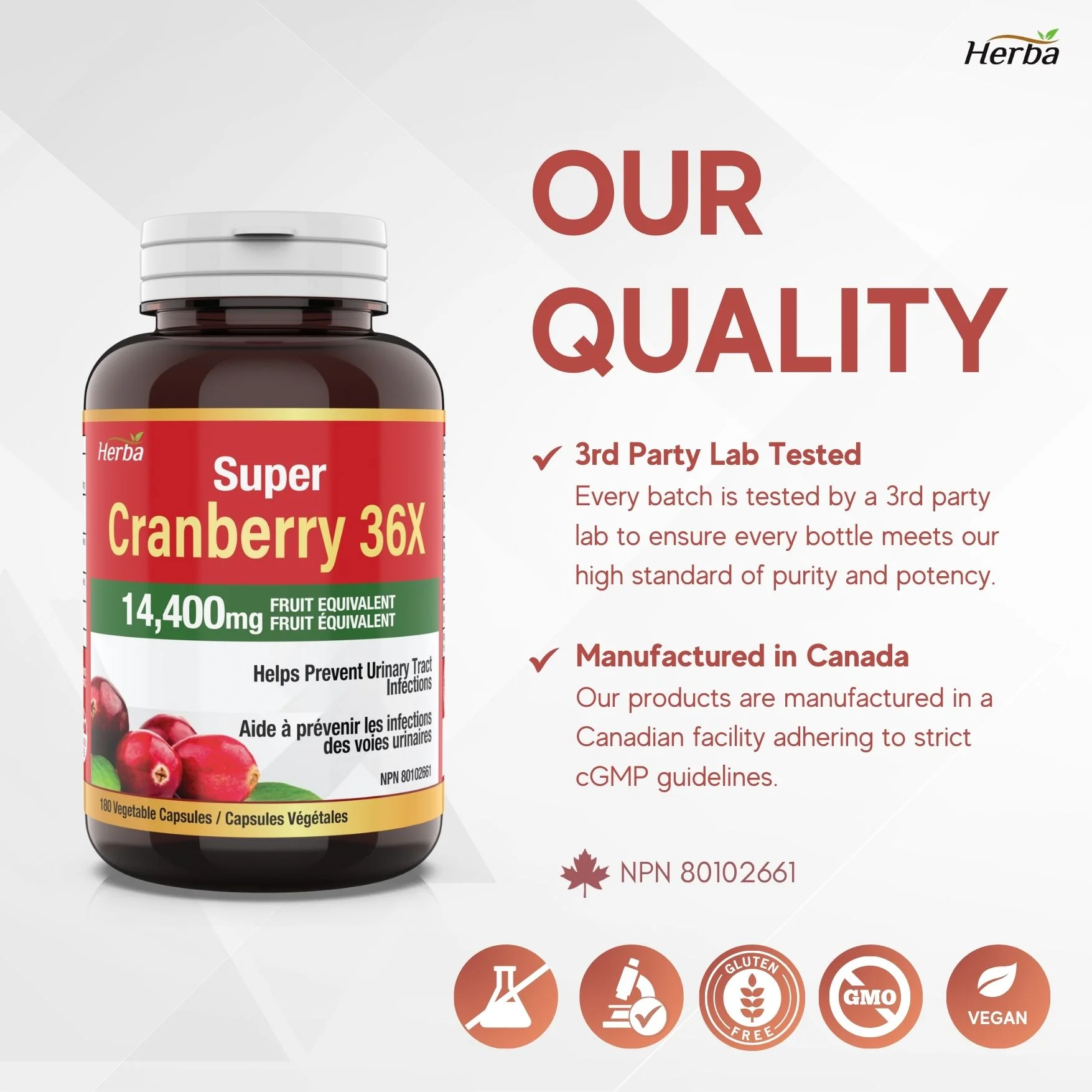 Cranberry Pills for Women and Men – 180 Cranberry Capsules | 28,800mg Per Day | 36:1 Concentration - Image 7