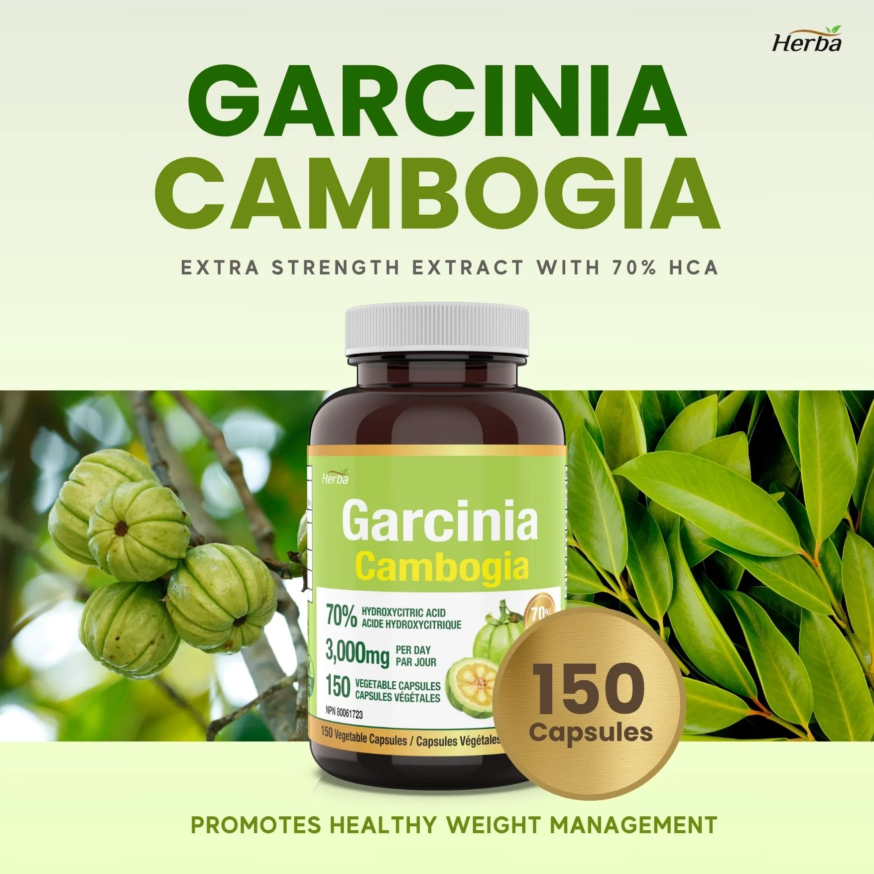Garcinia Cambogia Extract – 70% HCA | 150 Vegetable Capsules - Image 3