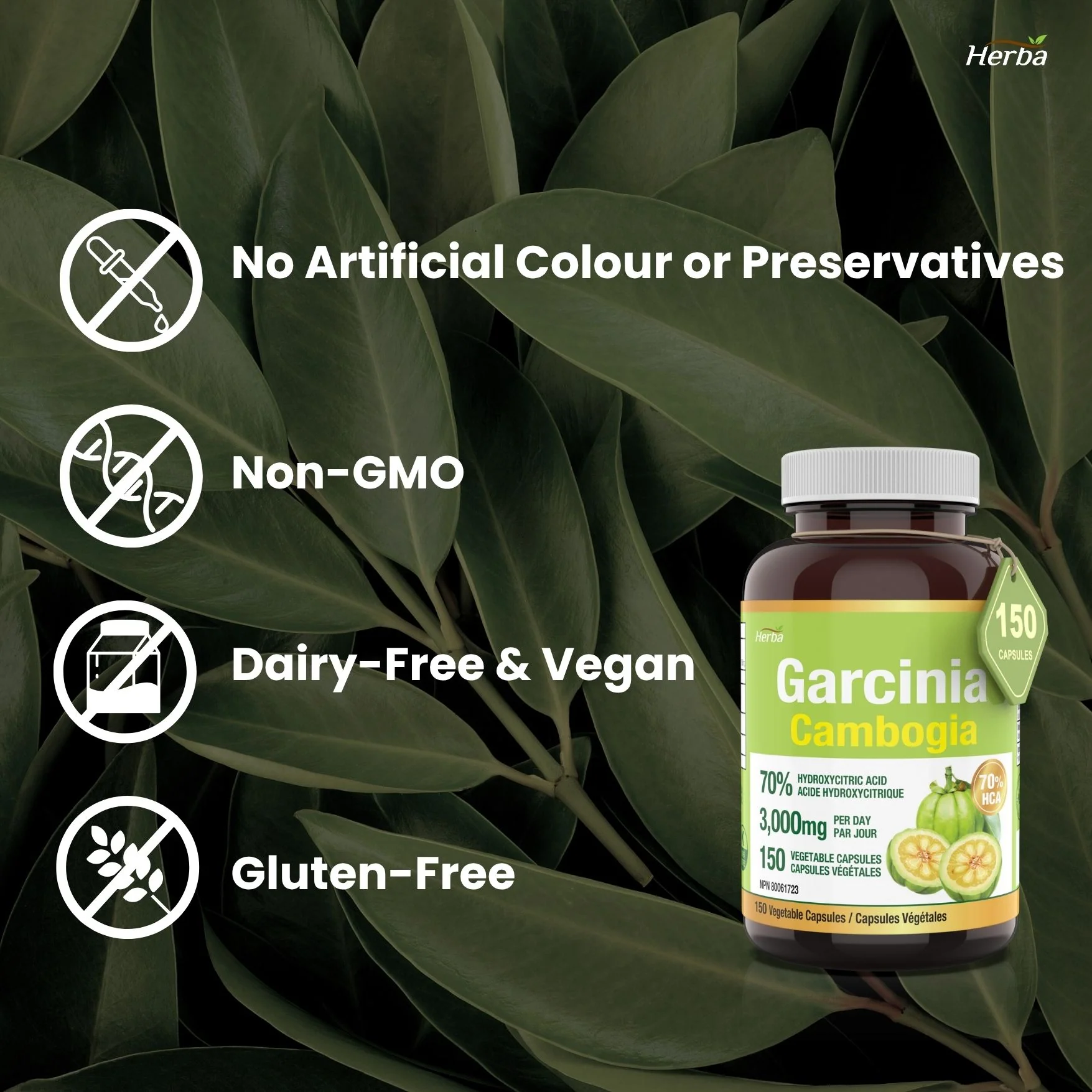 Garcinia Cambogia Extract – 70% HCA | 150 Vegetable Capsules - Image 6