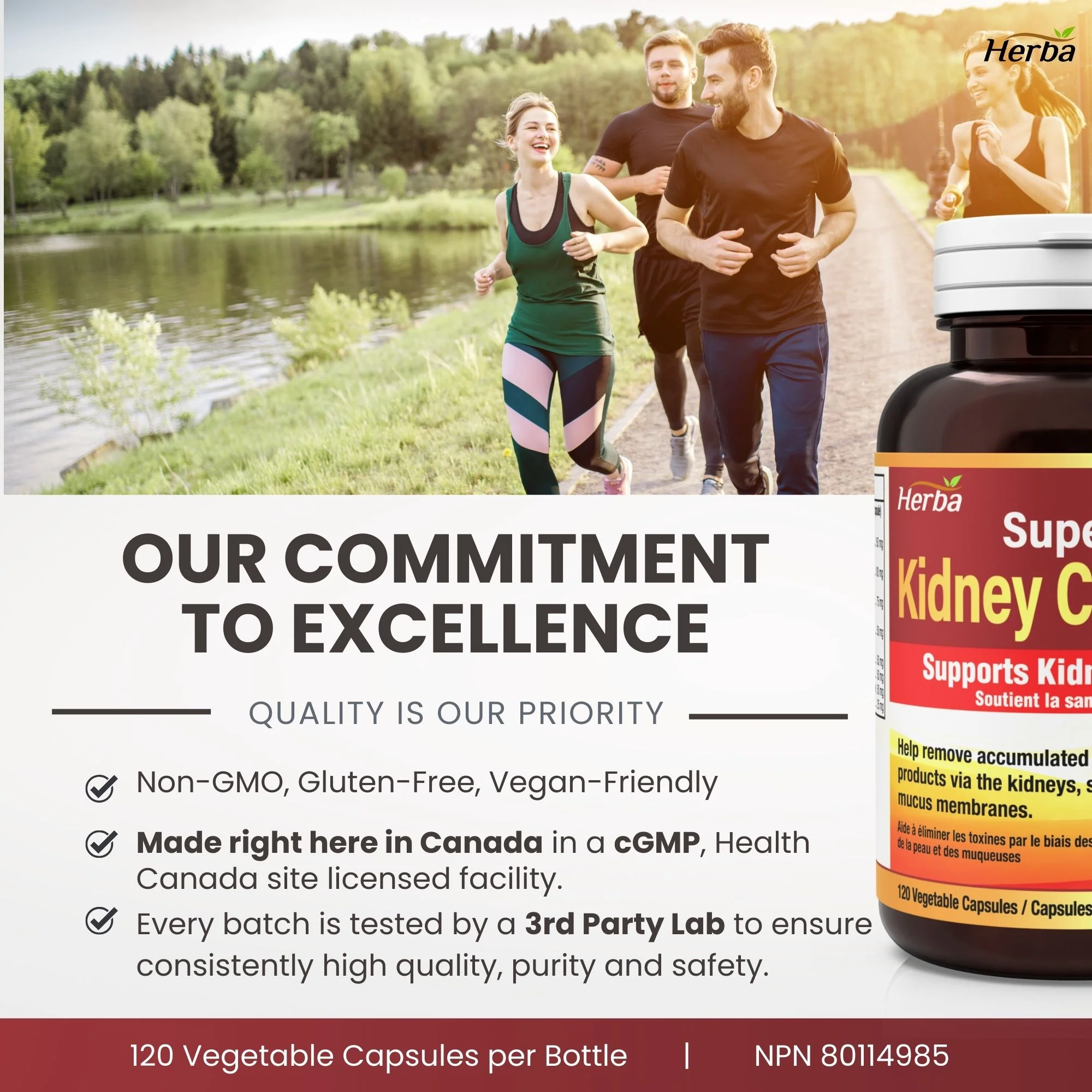 Kidney Cleanse Supplement – 120 Capsules | 8 Natural Ingredients to Support Kidney and Bladder Health - Image 8